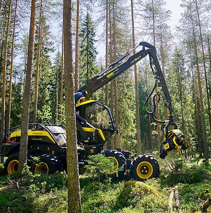 image-Carregadores florestais