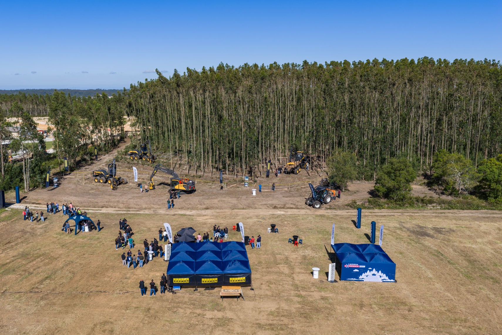 Ascendum Experience – Desafio Florestal