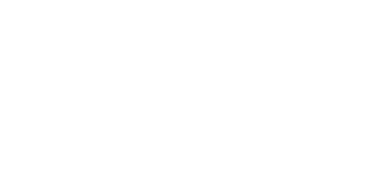 Metso