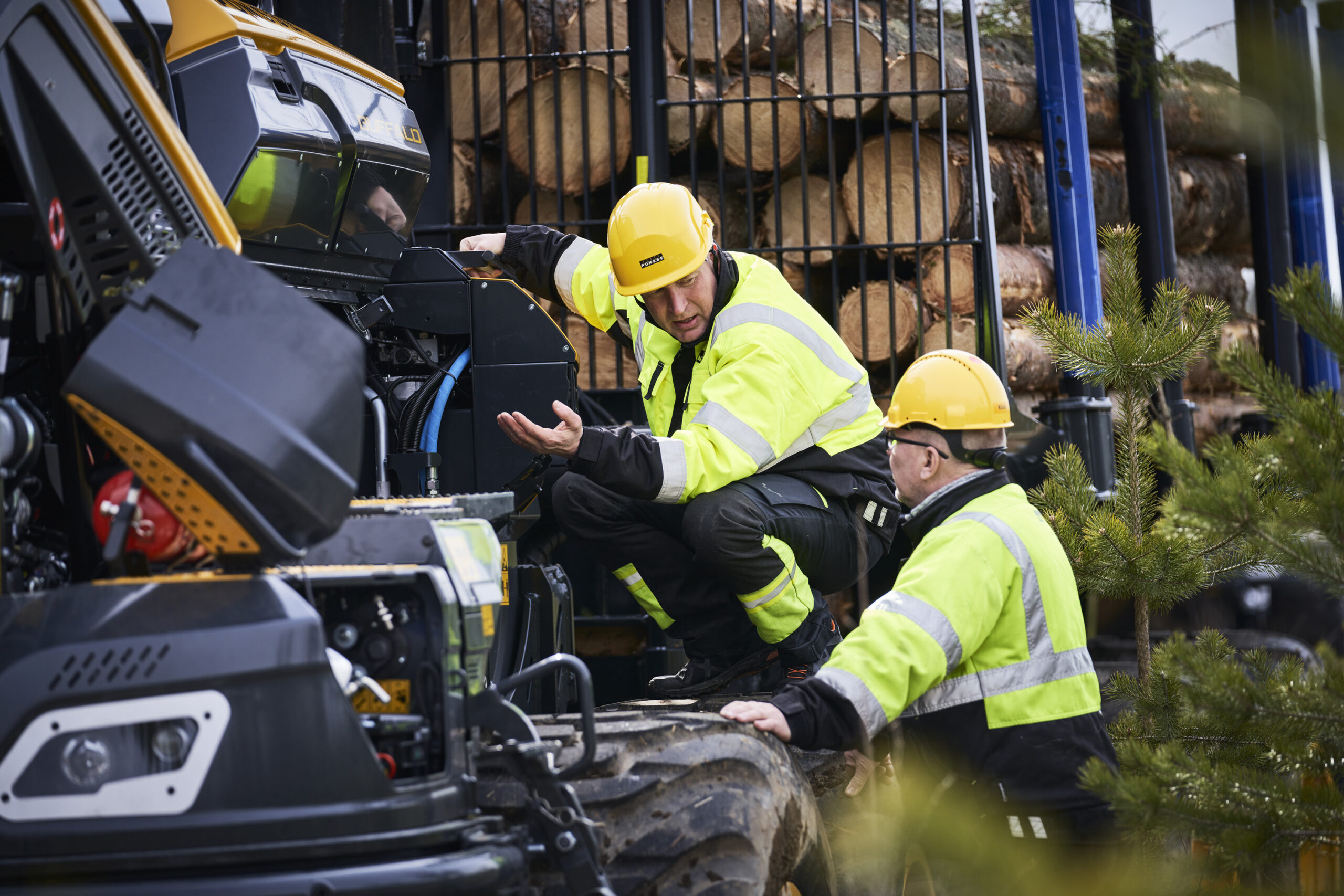image-Preparado para o que a floresta exige