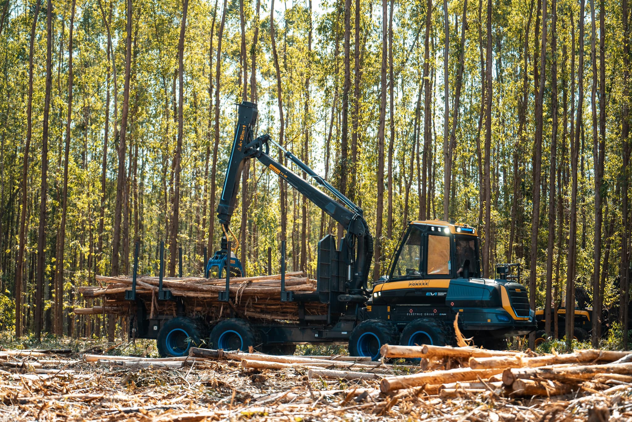 Manual de Colheita Florestal Mecanizada chega a Portugal