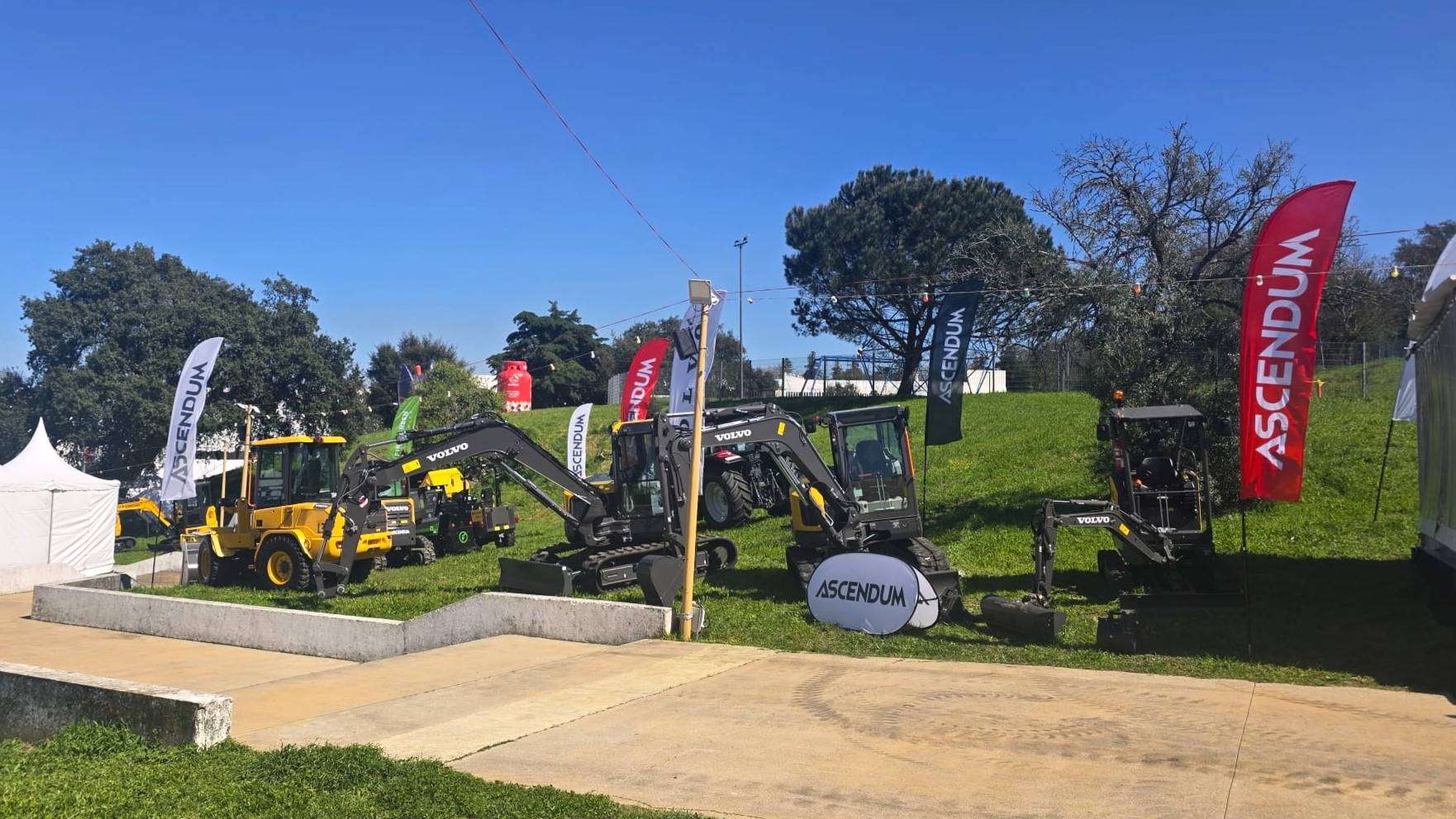 WhatsApp Image 2026-03-25 at 14.46.28